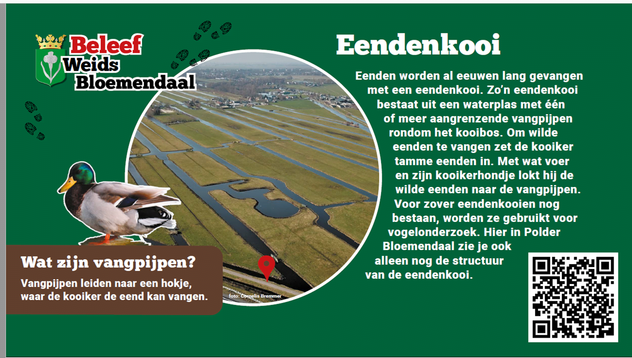 Bord Eendenkooi