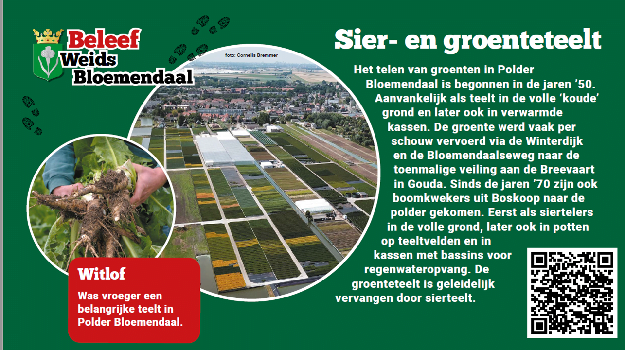 Bord Sier en groenteteelt