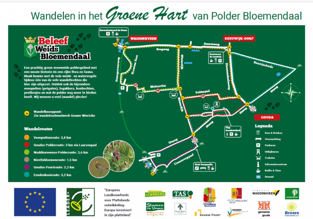 Wandelen in polder Bloemendaal