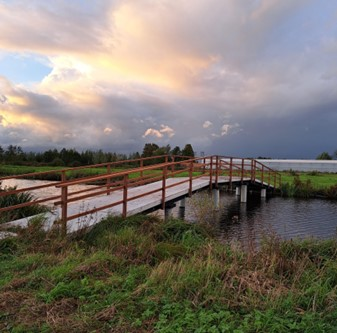 Brug over de Molenvliet